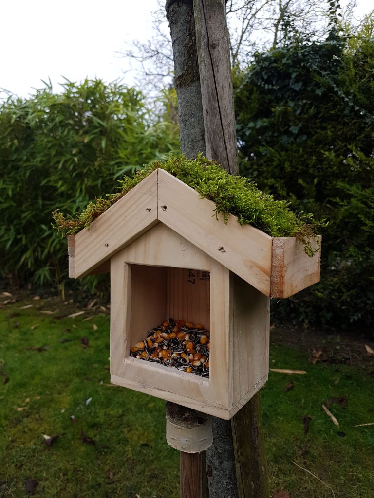 Photo de mangeoire à oiseaux