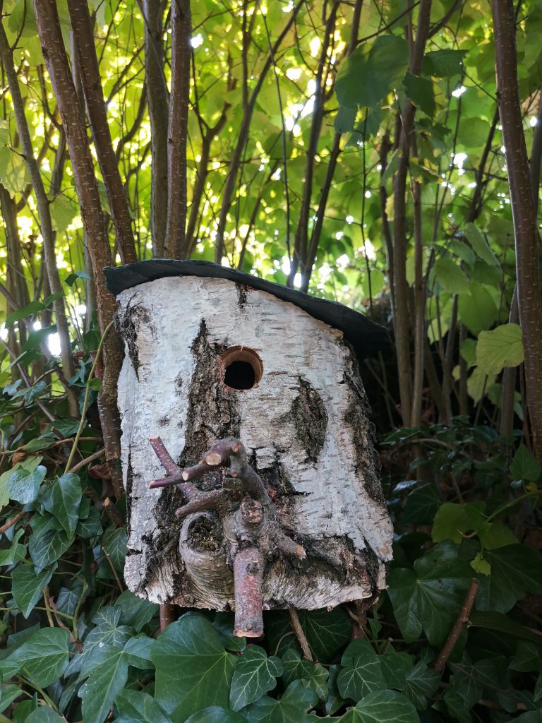 Nichoirs à oiseaux