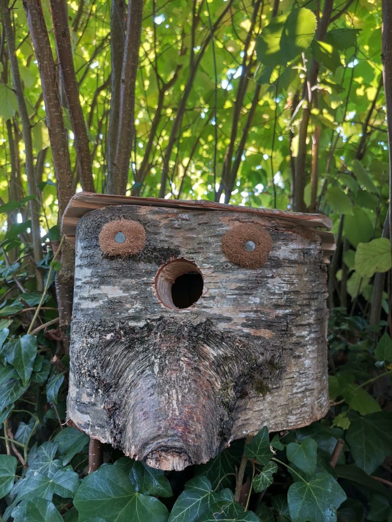 nichoirs à oiseaux
