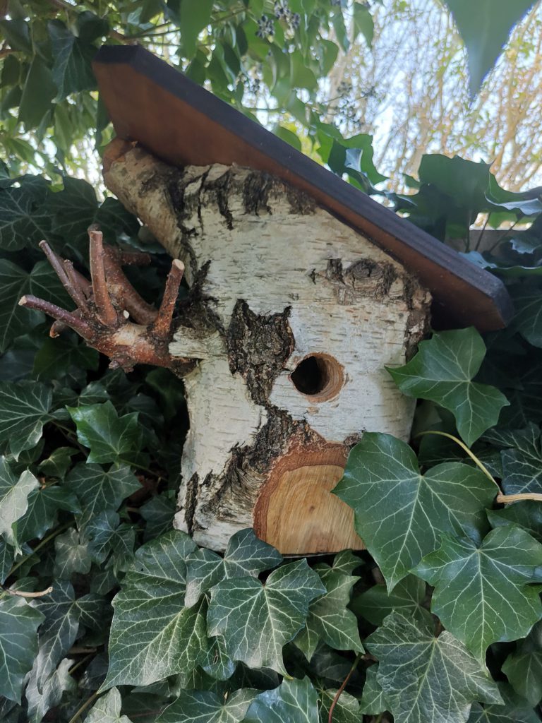 nichoirs à oiseaux