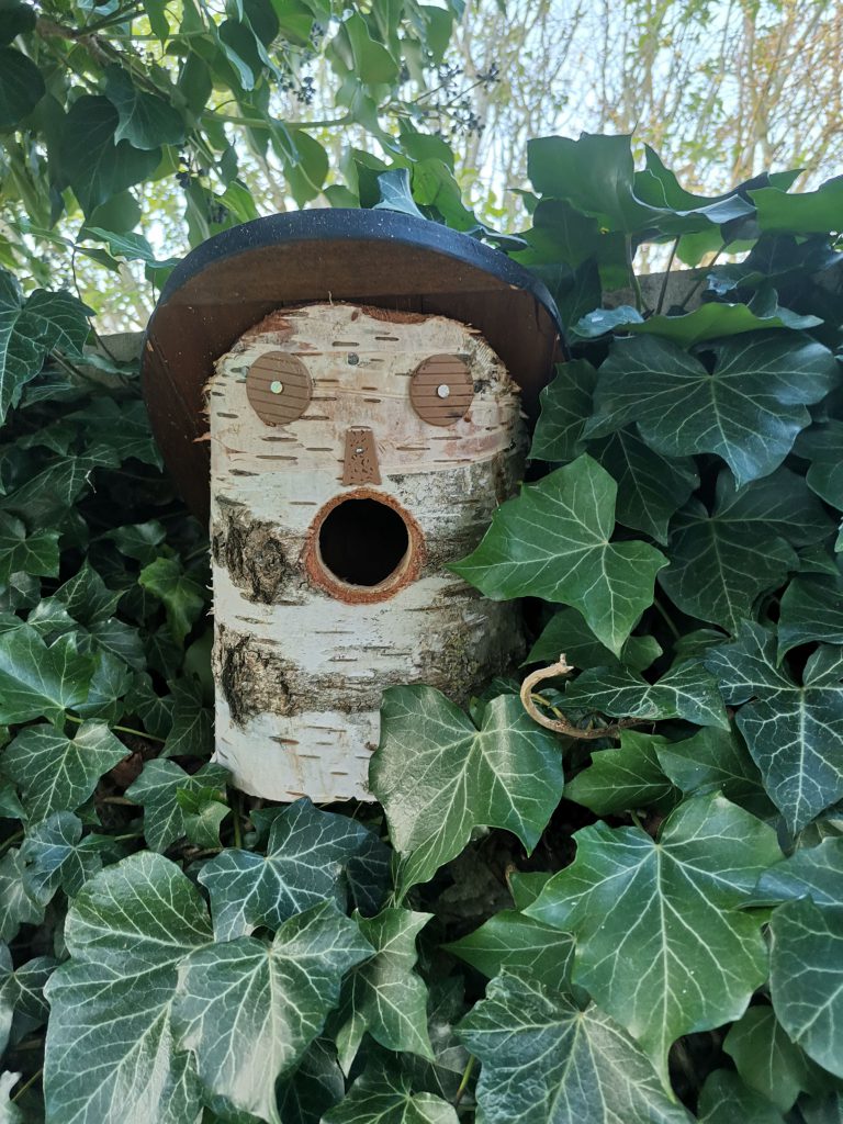 nichoirs à oiseaux