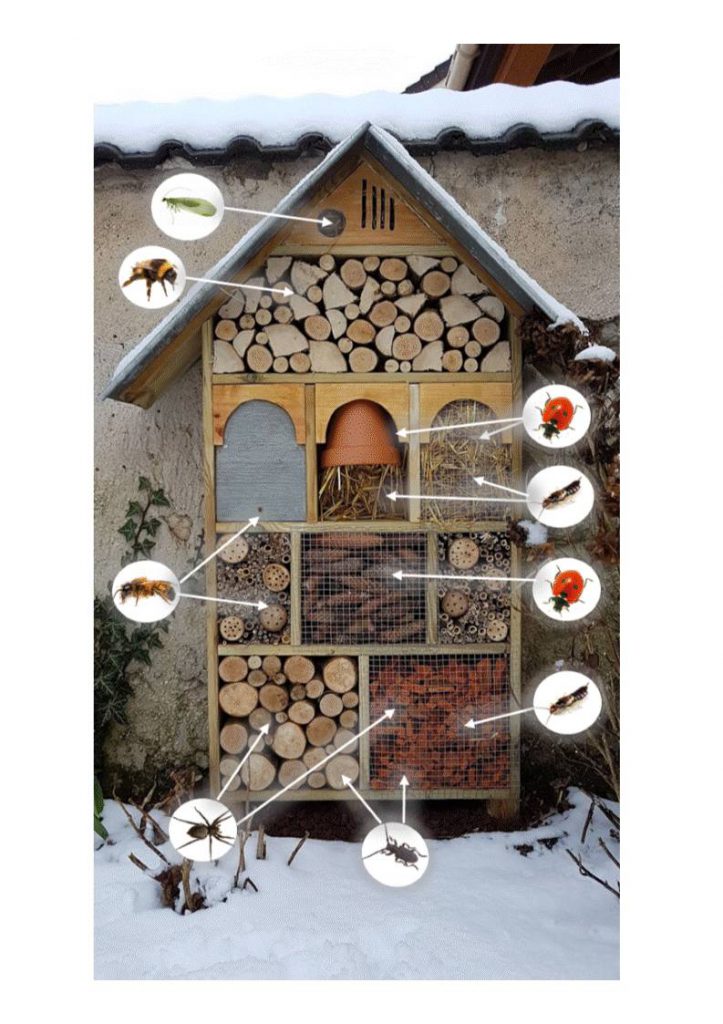 Hôtel à insectes