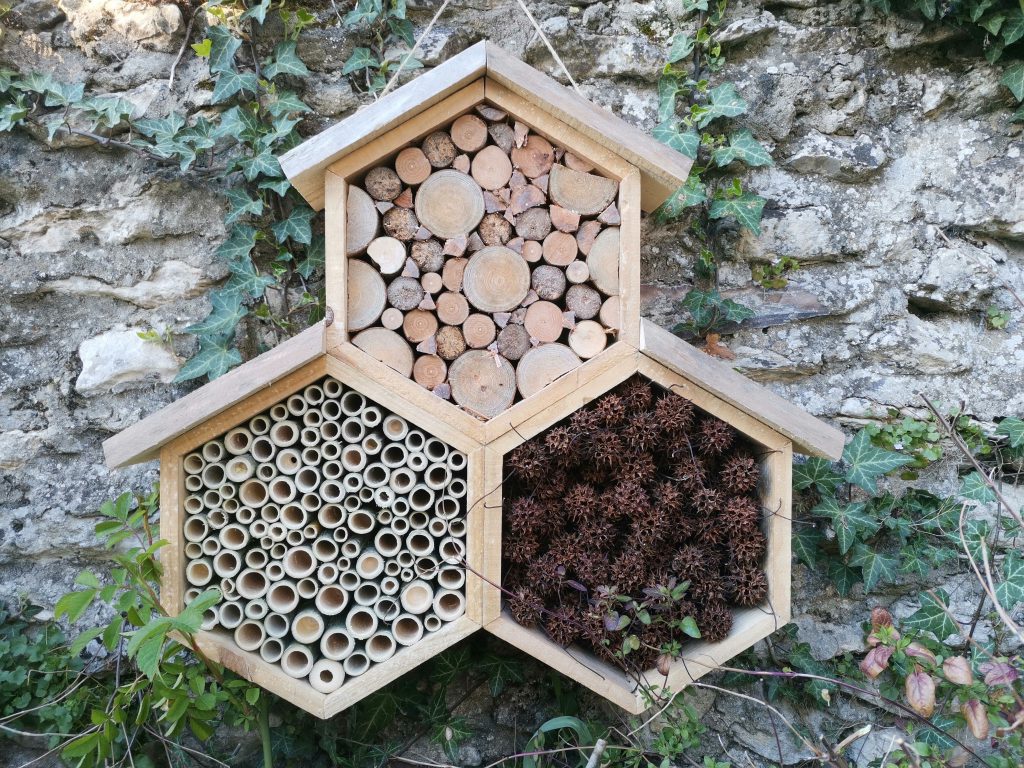 Hôtel à insectes