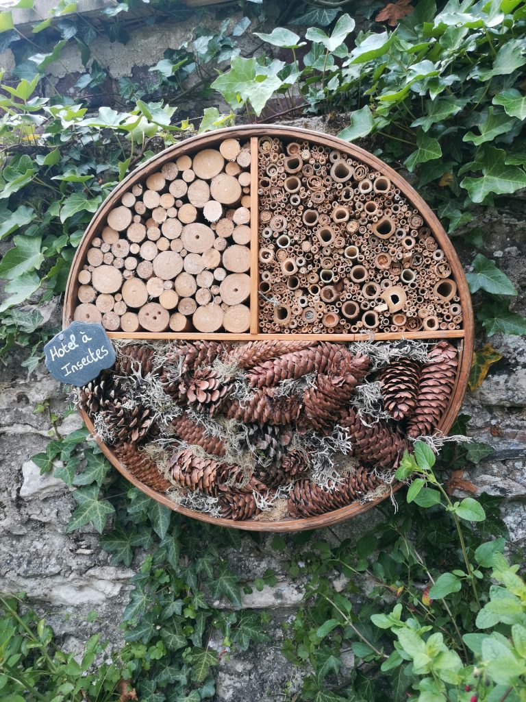 Lien de l'article que j'ai écrit sur la fabrication d'un hôtel à insectes.