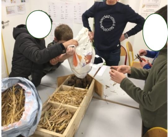 Atelier Hôtel à insectes dans un ITEP