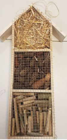 atelier hôtel à insectes dans un ITEP